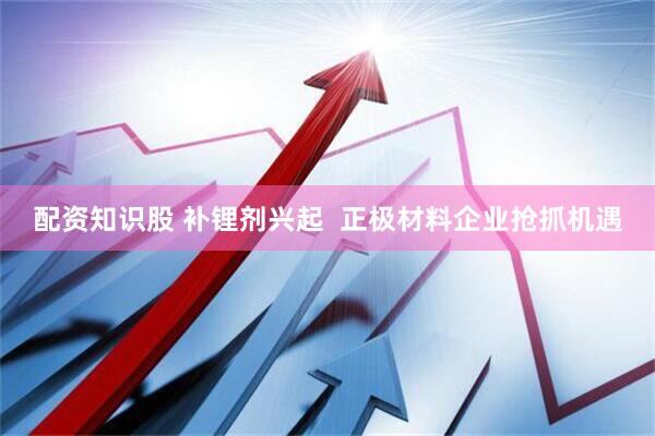 配资知识股 补锂剂兴起  正极材料企业抢抓机遇