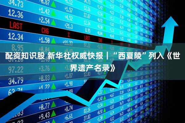 配资知识股 新华社权威快报｜“西夏陵”列入《世界遗产名录》