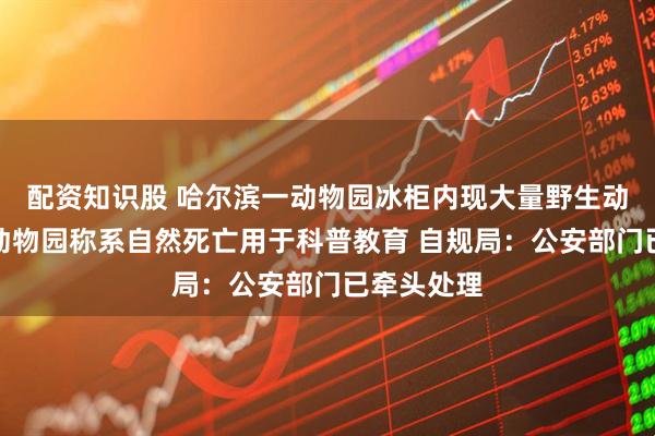 配资知识股 哈尔滨一动物园冰柜内现大量野生动物尸体，动物园称系自然死亡用于科普教育 自规局：公安部门已牵头处理