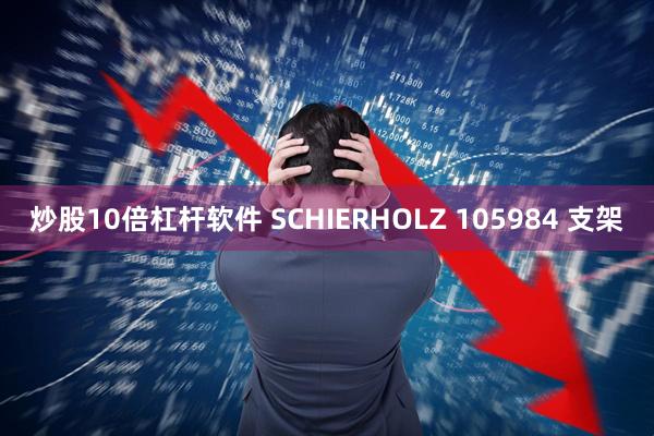 炒股10倍杠杆软件 SCHIERHOLZ 105984 支架