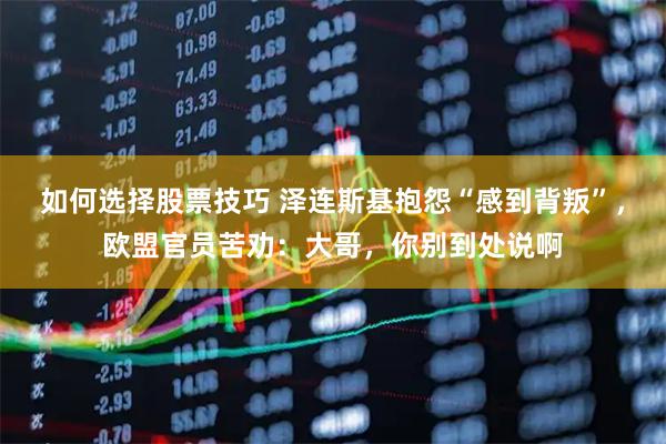 如何选择股票技巧 泽连斯基抱怨“感到背叛”，欧盟官员苦劝：大哥，你别到处说啊